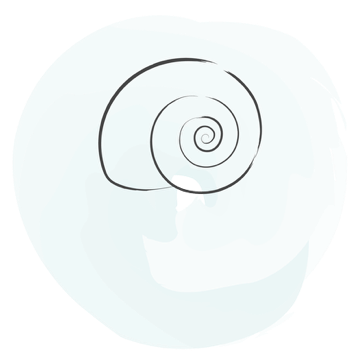 Sabina Killian-Schmid