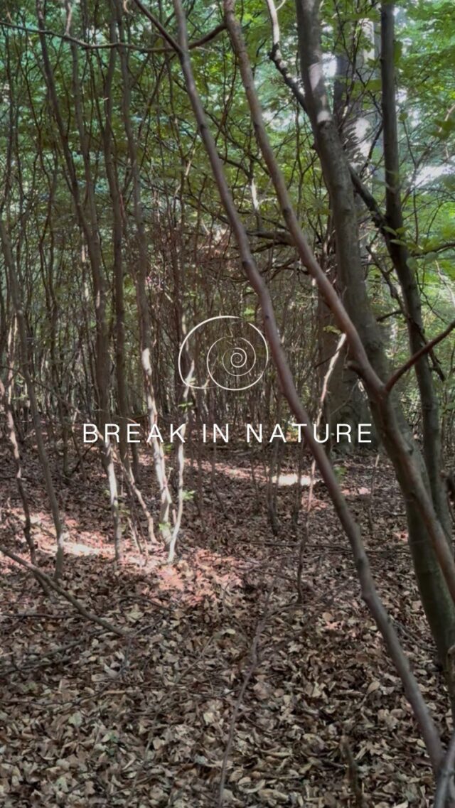 🌳🌲Im Wald kann sich die Seele erinnern, wie Frieden klingt. 🕊️

#sabinakillianschmid #slowyourmind #innereruhe #frieden #burnouts #burnoutprävention #burnoutcoach #wien